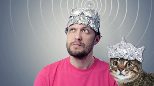 tinfoil-cat.jpg