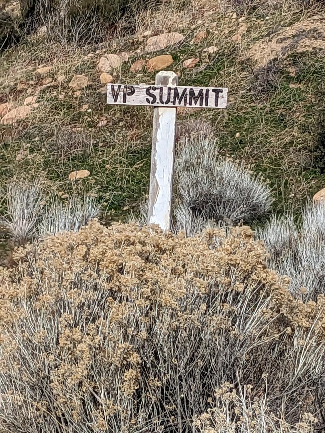 VP Summit.jpg