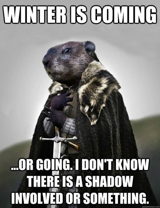 groundhog_meme.jpg